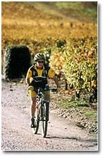 Vtt Nature
