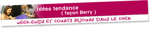 http://www.loisirs-accueil-cher.com
