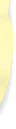 Z D
