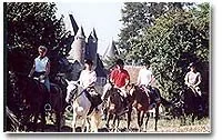 Randonnee Equestre